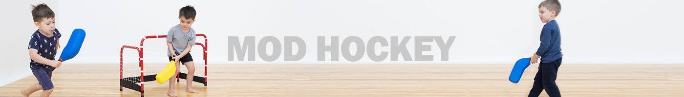 Modified Hockey Equipment New Zealand